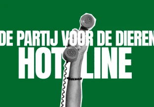 Hotline