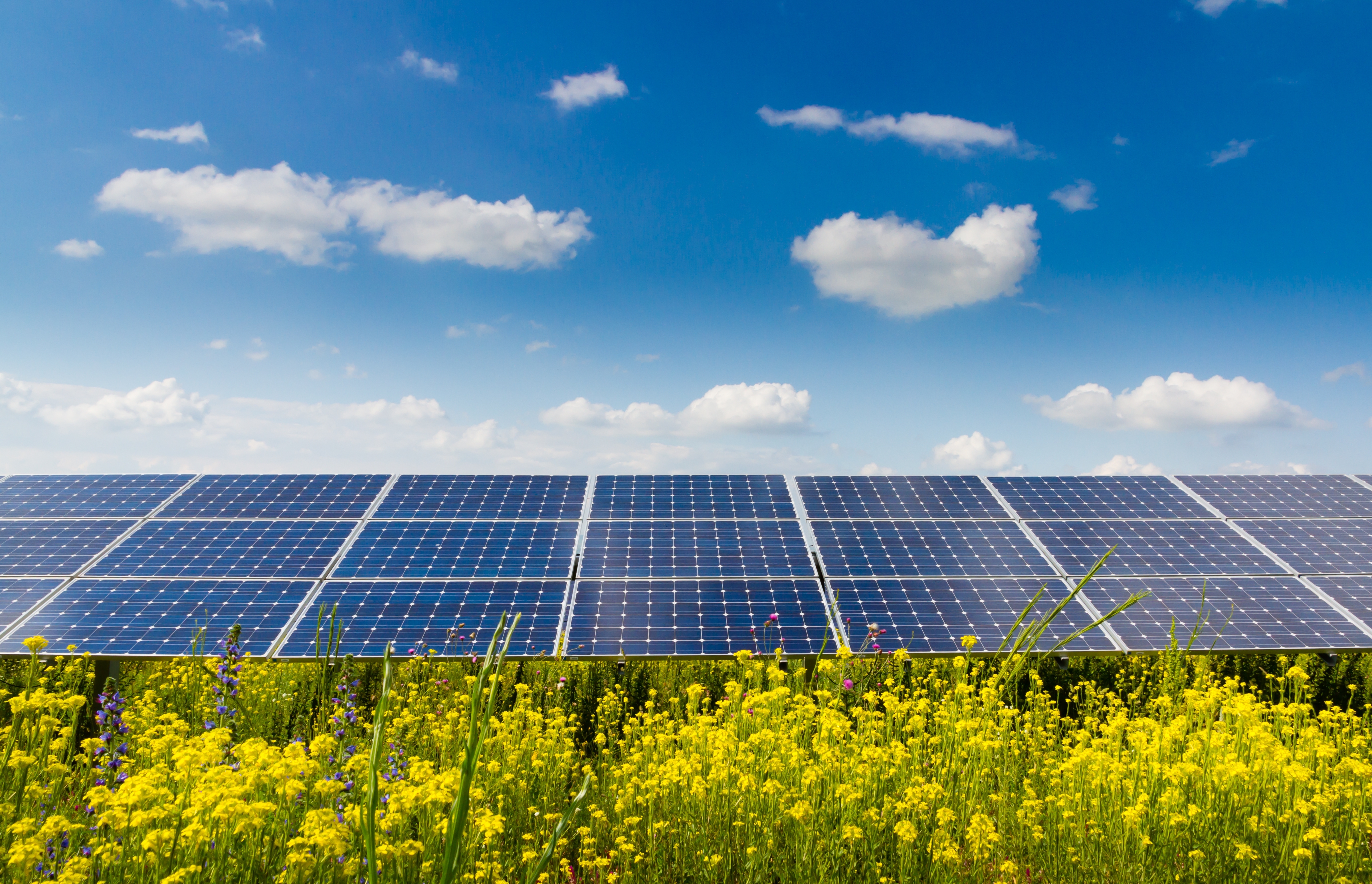 Stock Photo Photovoltaic Modules And Yellow Flowers 178694141