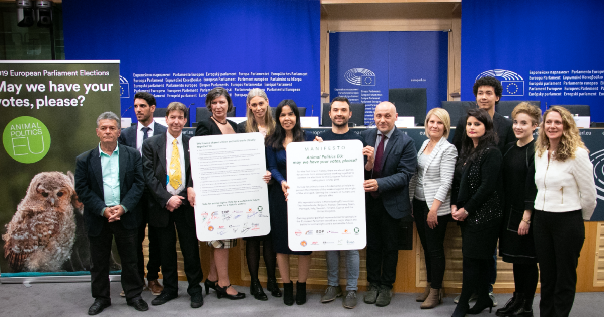 Partij voor de Dieren en EU-zusterpartijen presenteren "Animal Politics