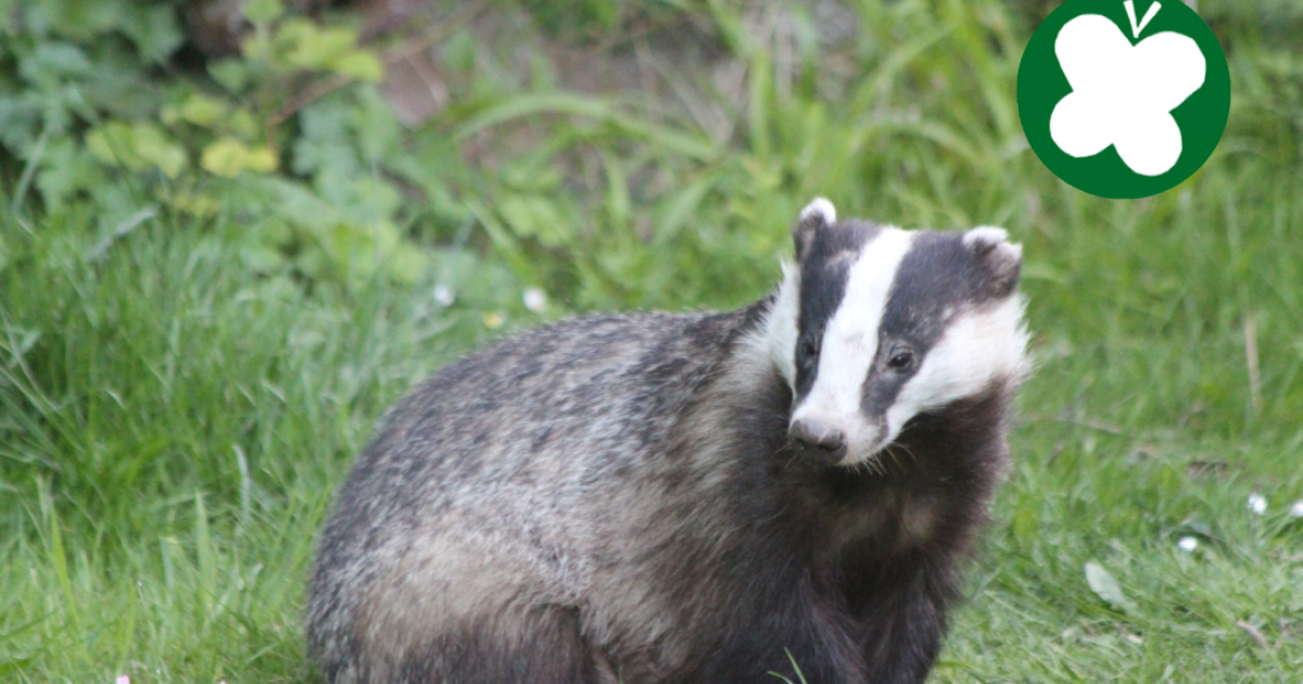 Een habitat is een habitat! | Nieuws | Partij voor de Dieren